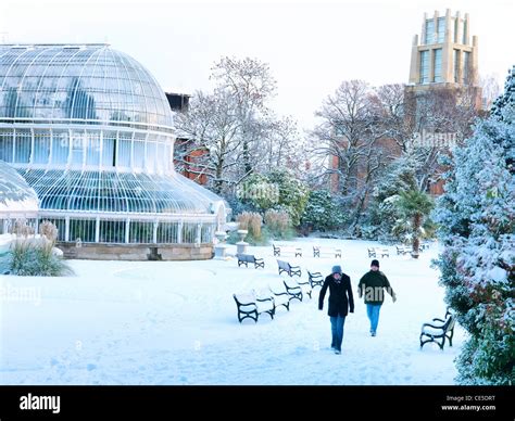 Botanic gardens belfast winter hi-res stock photography and images - Alamy