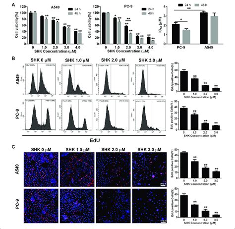 The Inhibitory Effect Of Shk On A Cells And Pc Cells A Cck