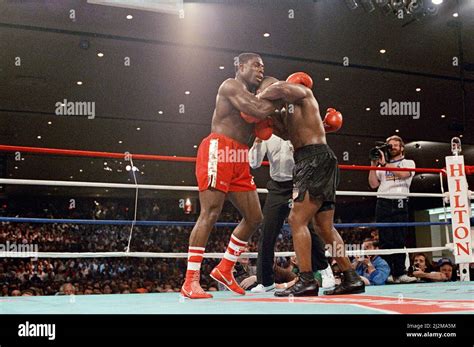 Mike Tyson Vs Frank Bruno For The Wba Wbc Ibf And Lineal Heavyweight