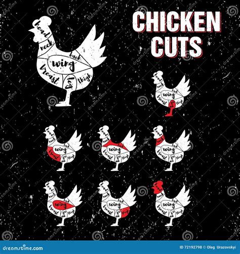 Chicken Cuts Diagram Vector Illustration | CartoonDealer.com #55150704