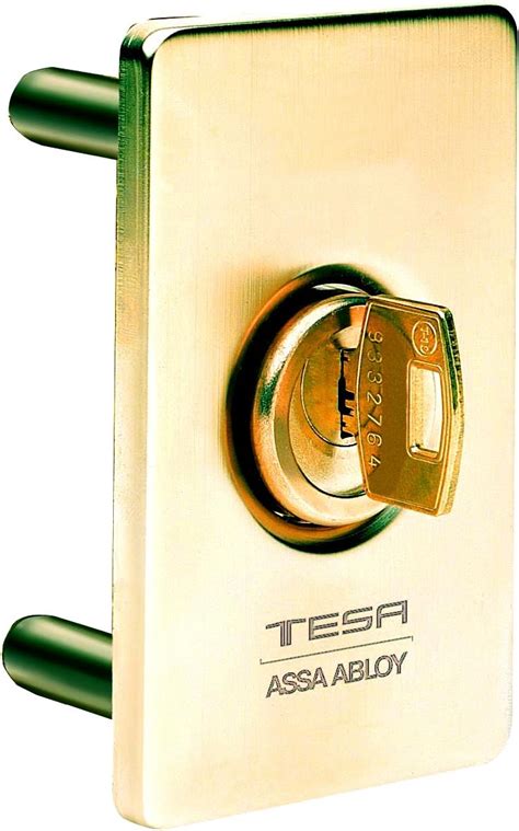 Tesa Assa Abloy ESTS00LM Escudo De Seguridad Latonado 2110 Amazon