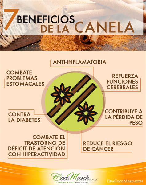 Beneficios De La Canela Para La Salud Coco March