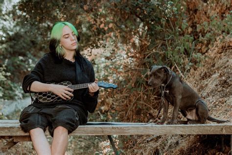 Billie Eilish Dog Shark Jamie Smith