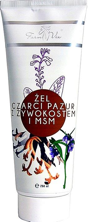 Żel CZARCI PAZUR z ŻYWOKOSTEM i MSM 250ml Farm Vix 11178502237 Allegro pl