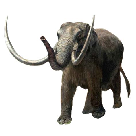 Mastodon Png By Chaseandlinda On Deviantart