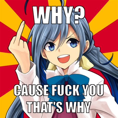 清霜ちゃんF ck you Why Because Fuck You That s Why Know Your Meme