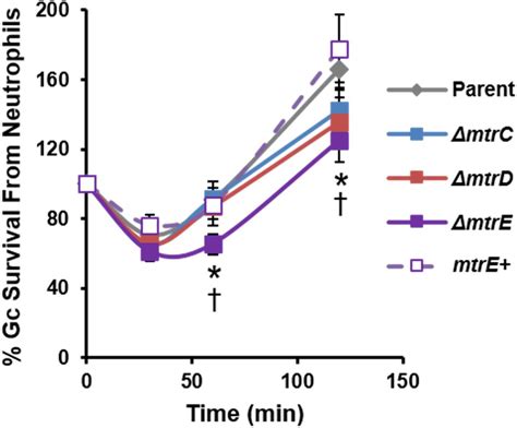 Frontiers The Mtrcde Efflux Pump Contributes To Survival Of Neisseria