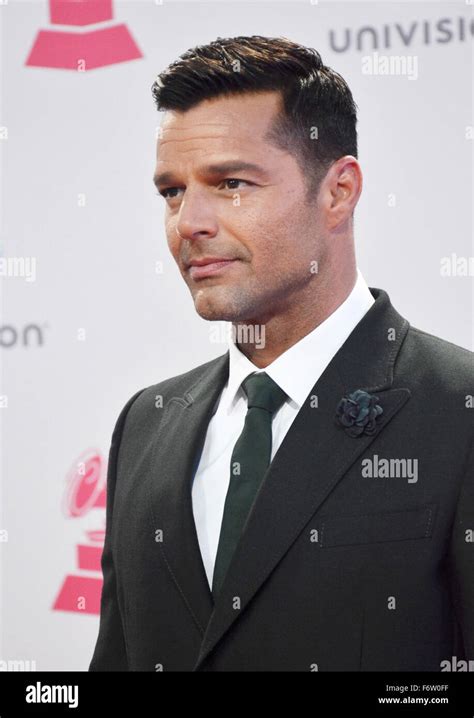 Las Vegas Nevada Usa 19th Nov 2015 Singer Ricky Martin Attends The