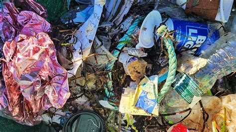 Marine Debris October Fishers Island Conservancy