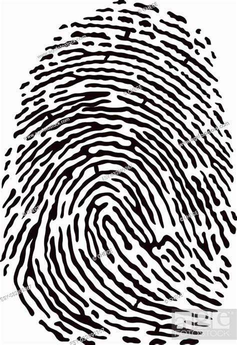 Vector Black Isolated Fingerprint On White Background Stock Vector