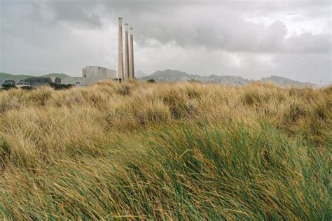 Sand Dunes Native Plants And Power Plants On Morro Bay California