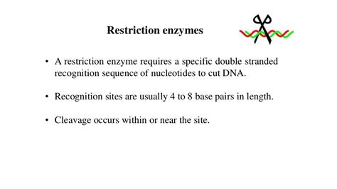 Restriction Fragment Length Polymorphism (RFLP)