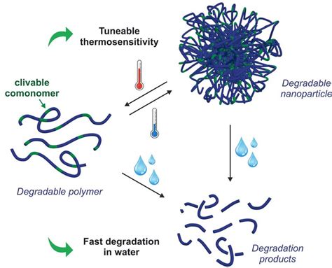 Toward New Degradable Polymers Eurekalert