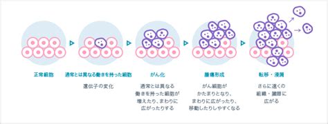 がんは遺伝子の変化で起こる病気｜おしえて がんゲノム医療｜中外製薬