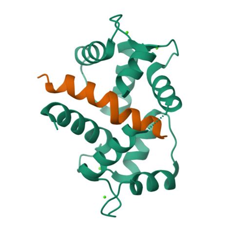 Rcsb Pdb Ahs Crystal Structure Of Human Ca Calmodulin In Complex