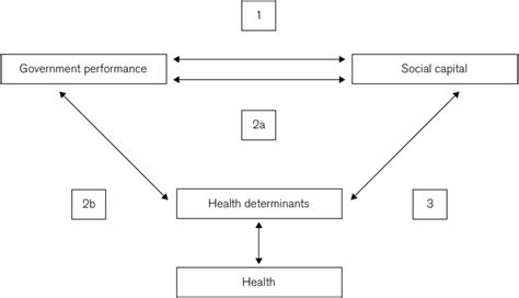 Relationships Between Social Capital And Health Lavis And Stoddart