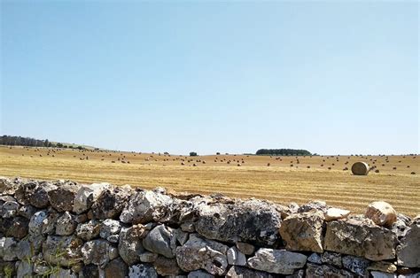 Muretti a secco l UNESCO li dichiara Patrimonio dell Umanità