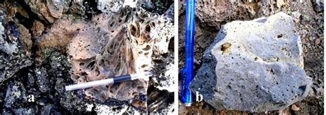 A Outcrop Of The Porous Basalt B Fresh Basalt Samples With Numerous Download Scientific