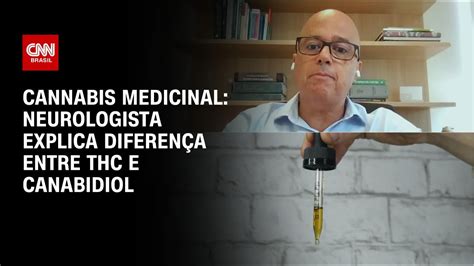 Por Unanimidade STJ Permite Cultivo De Cannabis Medicinal CNN Brasil