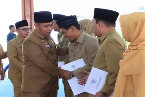 Kabar Gembira Menpan Rb Sebut Honorer Pasti Diangkat Jadi Asn Tahun