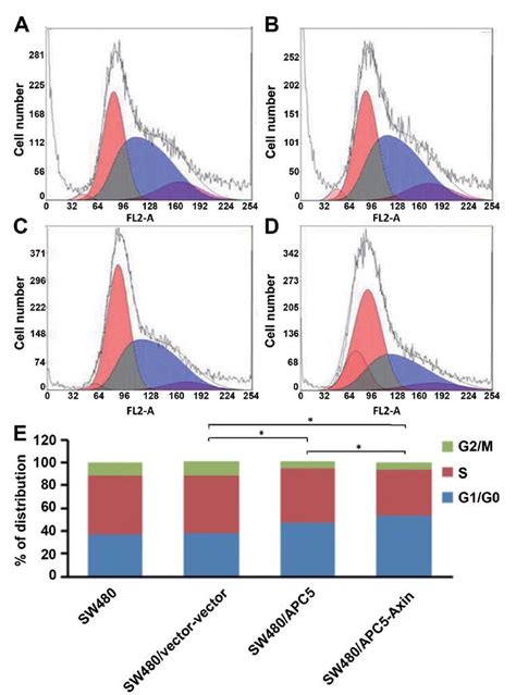 Cell Cycle Distribution Of Transfected Cells Cell Cycle Distribution