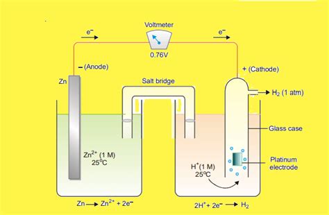 Standard hydrogen electrode(SHE): Definition, diagram, application ...