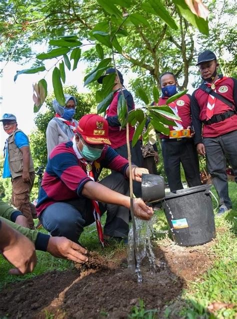 Provinsi Ntb Gerakan Pramuka Menanamtarget 1 Juta Pohon Di Tahun 2021