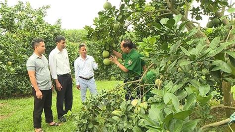 Fruit Vegetable Exports To Hit Record In 2023 Vna Photos Vietnam