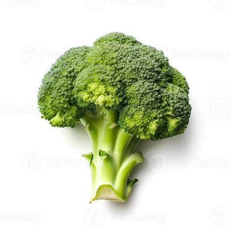 broccoli isolated  white background  stock photo  vecteezy