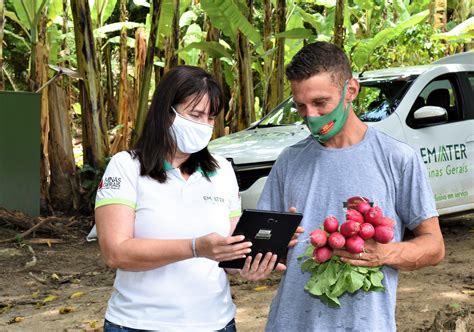 Atendimento remoto ganha espaço na assistência técnica e extensão rural