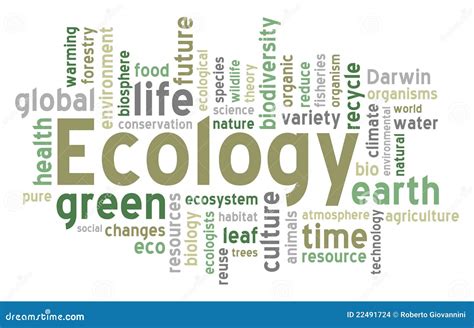 Ecology Word Cloud Stock Vector Illustration Of Earth 22491724