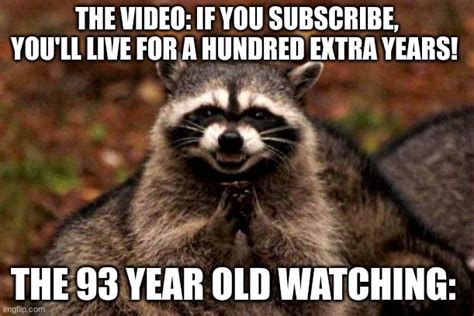 Evil Plotting Raccoon Memes - Imgflip