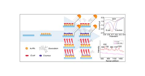 Rapid And Ultrasensitive Electrochemical Detection Of Multidrug