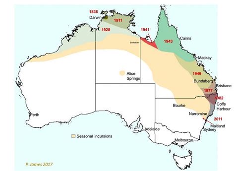 Distribution And Biology For Cattle FlyBoss