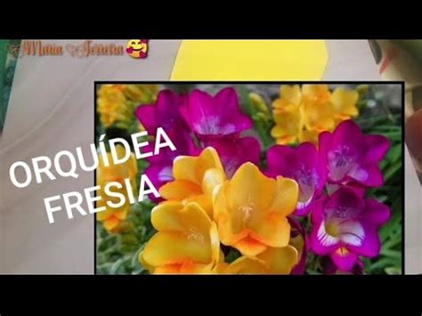 COMO FAZER UMA ORQUÍDEA FRESIA SEM FRISADOR YouTube