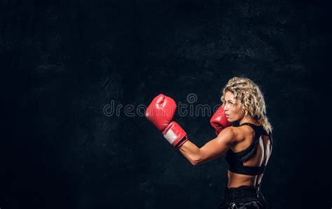 Portrait Of Professional Female Boxer In Action Stock Photo Image Of