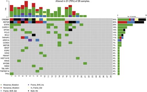 Mutation Landscape Of The Ctdna Samples In Newly Diagnosed Fl Patients