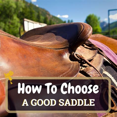 How To Choose A Good Saddle In Depth Video Series Horse Soup