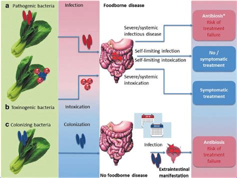 Impact Of Antimicrobial Resistance In Different Situations Following