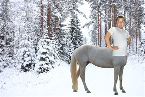 Centaur Gabriel In Narnia by Gabediva04 on DeviantArt