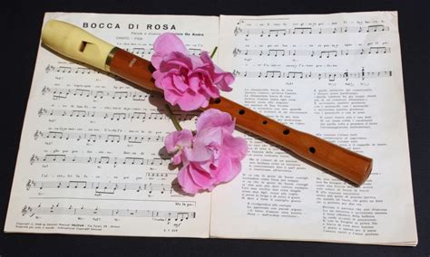 Canzone Dizionario Significato E Curiosit