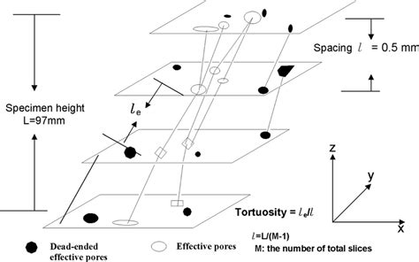 Schematic Of Effective Porosity And Tortuosity Effective Pores Are