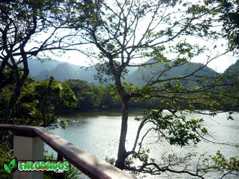 Enlodados Lagunas De Panama