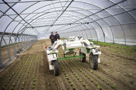 Oz Le Premier Robot Agricole