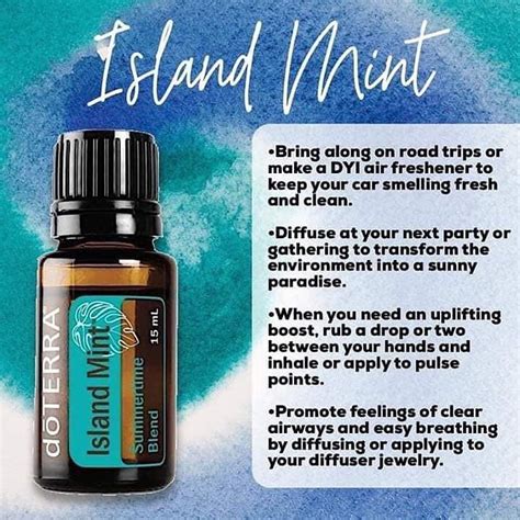 Island Mint Essential Oil Blend By DoTERRA Essential Oil Diffuser