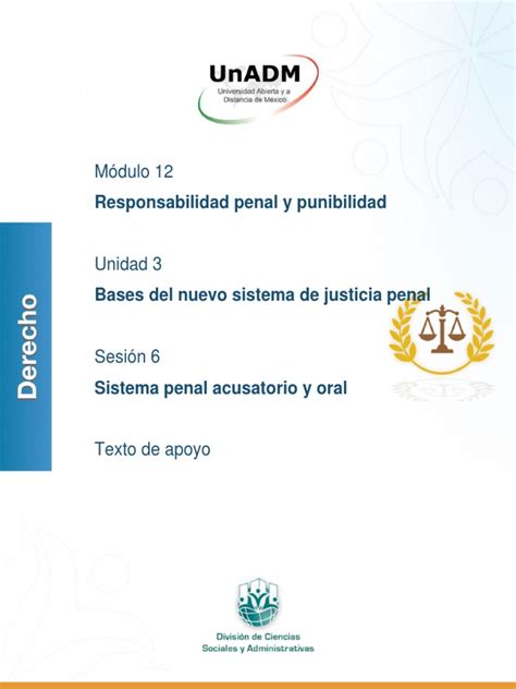 Sistema Penal Acusatorio Y Oral Pdf Pdf Procedimiento Criminal Derecho Penal