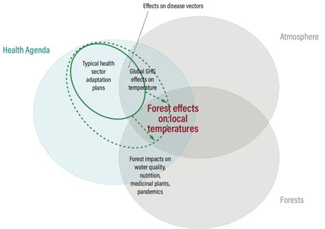 3 Deforestation Temperature And Human Health Policy Contexts Venn