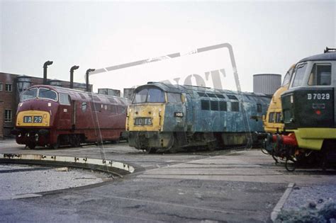 British Railway Photographs Class 35 Hymek Colour