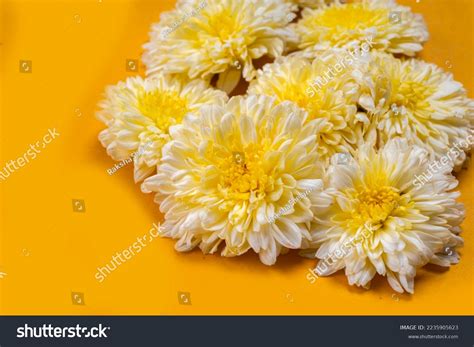 Flower Rangoli Diwali Pongal Made Using Stock Photo 2235905623 | Shutterstock