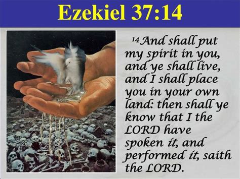 Josephs Dead Bones And Ezekiel 37 A Pearl In The Vineyard